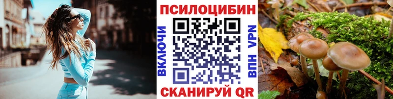 Галлюциногенные грибы мицелий Людиново